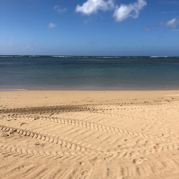 Meet your Posher, Sam - Picture 1 of 1